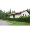 Aitakuusi Picea abies Viheraarni
