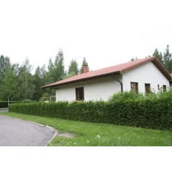 Aitakuusi Picea abies Viheraarni