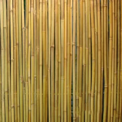 Bambuaita Home4you In Garden 150x300 cm