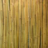 Bambuaita Home4You In Garden, 100x300cm