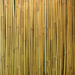 Bambuaita Home4You In Garden, 100x300cm