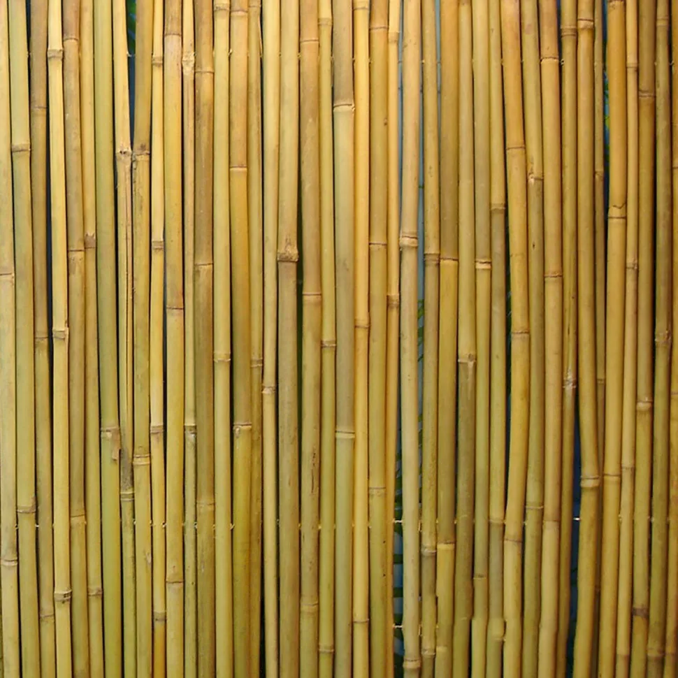 Bambuaita Home4You In Garden, 100x300cm