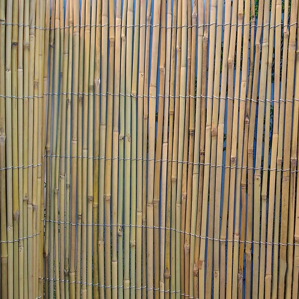 Bambuaita Home4you In Garden 150x500 cm