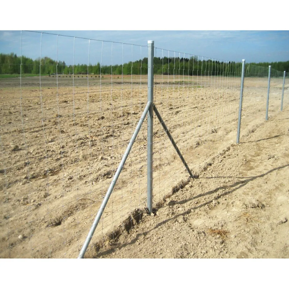 Eläinverkko Zn 2,0x50 m muuttuva silmäkoko
