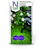 Erikoisnurmi Nelson Garden, siemenet, 1kg