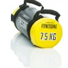 Harjoittelusäkki Gymstick Fitness Bag 7,5 kg