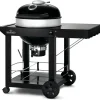 Hiiligrilli Napoleon PRO22K-CART-3