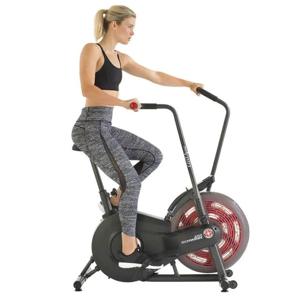 Ilmavastuspyörä Schwinn Airdyne AD 2 max. 113 kg