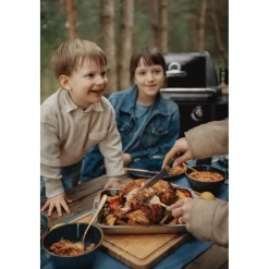 Kaasugrilli Broil King Royal 320 Shadow, 3 poltinta
