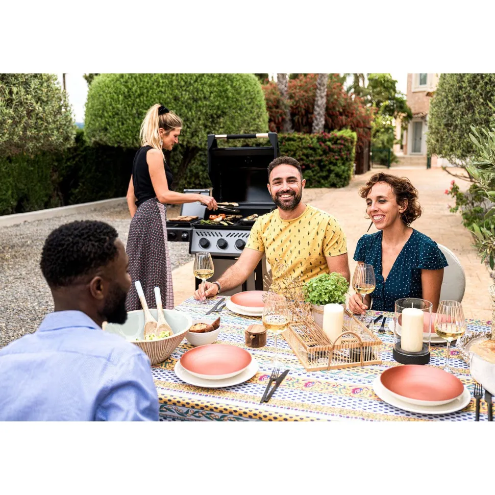 Kaasugrilli Napoleon Freestyle 365, 3 poltinta, sivupoltin