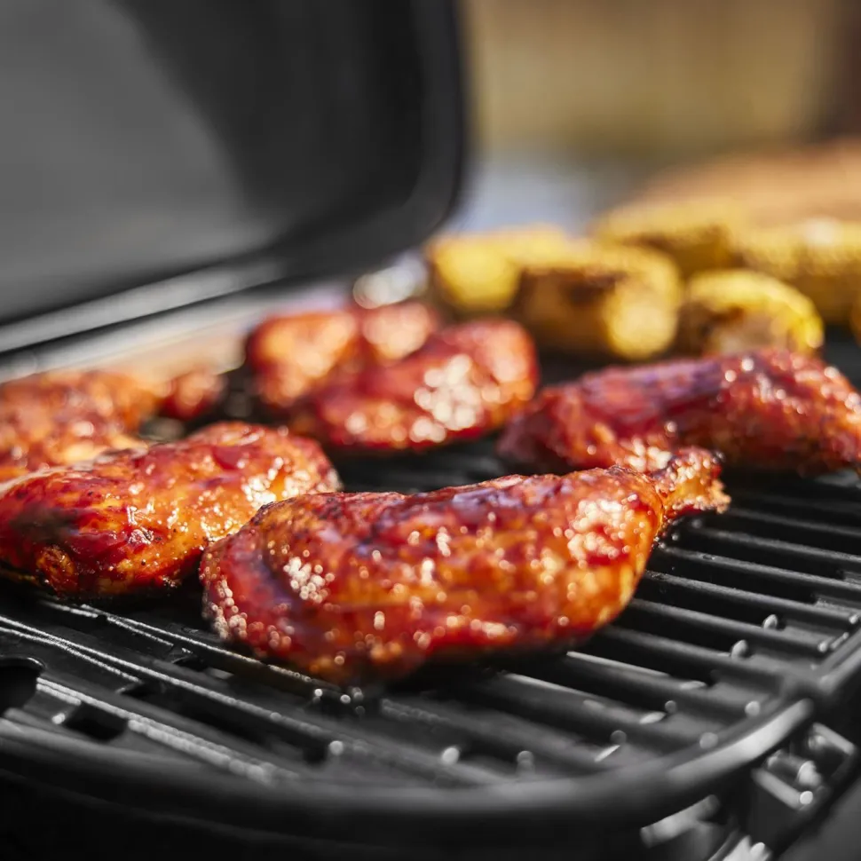 Kaasugrilli Weber Traveler Compact