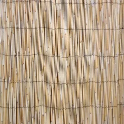 Kaislasermi Home4You IN GARDEN 500x200 cm, beige