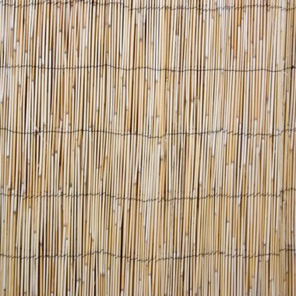 Kaislasermi Home4You IN GARDEN 500x200 cm, beige