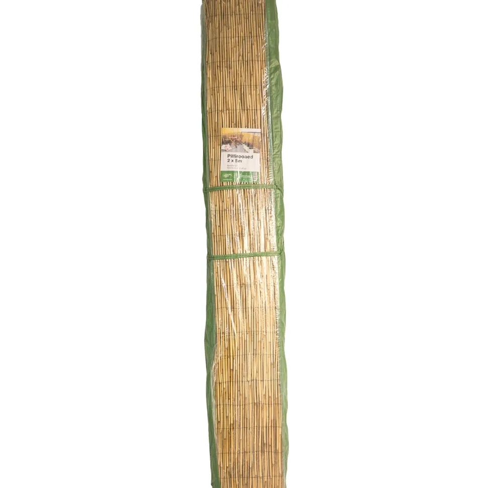 Kaislasermi Home4You IN GARDEN 500x200 cm, beige
