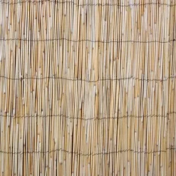 Kaislasermi Home4You IN GARDEN 500x100 cm, beige