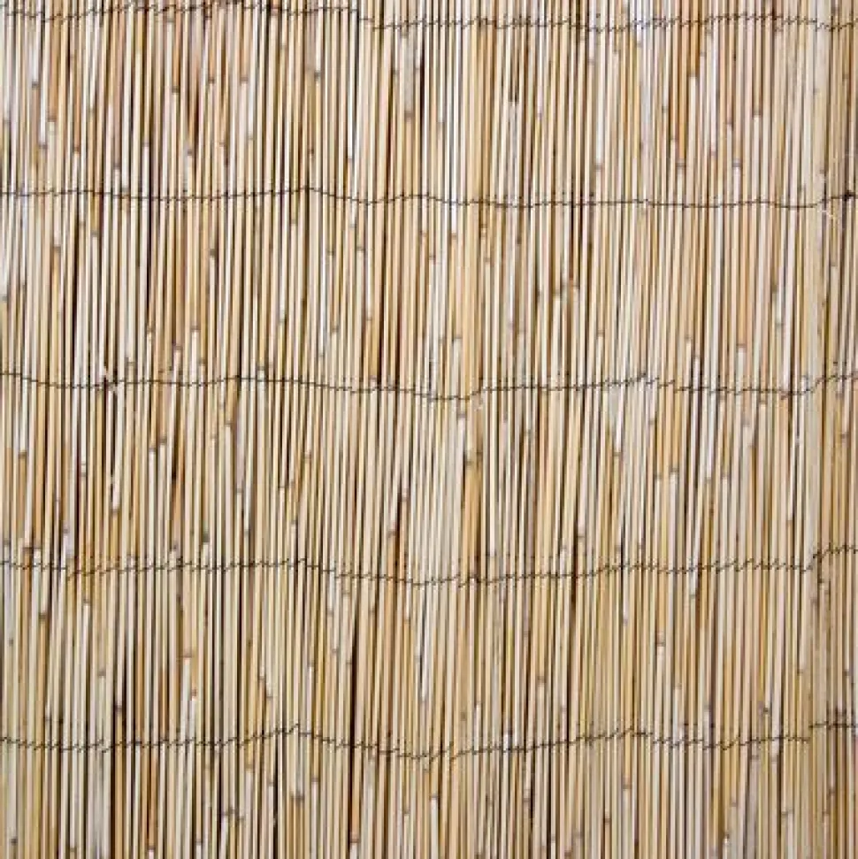 Kaislasermi Home4You IN GARDEN 500x100 cm, beige
