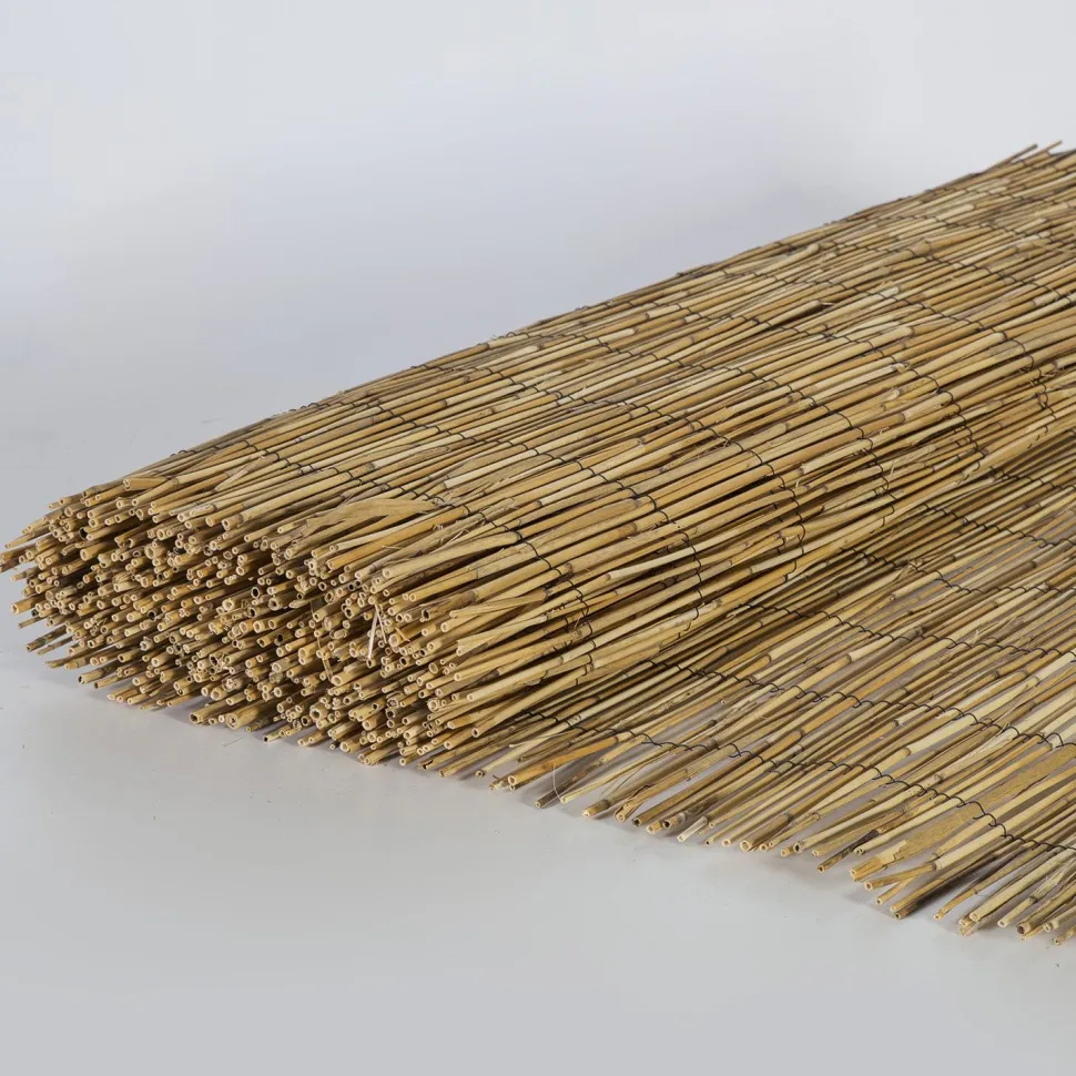 Kaislasermi Home4You IN GARDEN 500x100 cm, beige