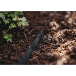 Katestopperi Nelson Garden, 80x20cm, 6kpl