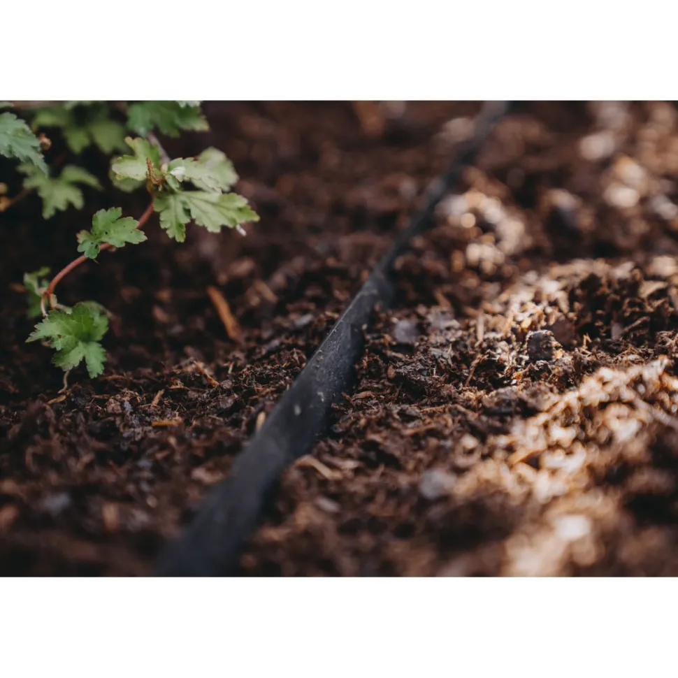 Katestopperi Nelson Garden, 80x20cm, 6kpl