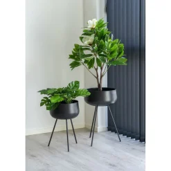 Kukkaruukku House Nordic Ardola, 2kpl, musta teräs