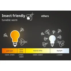 LED-terassivalaisin Paulmann Plug & Shine, Smart Home Zigbee 3.0, IP65, säädettävä värilämpötila, musta
