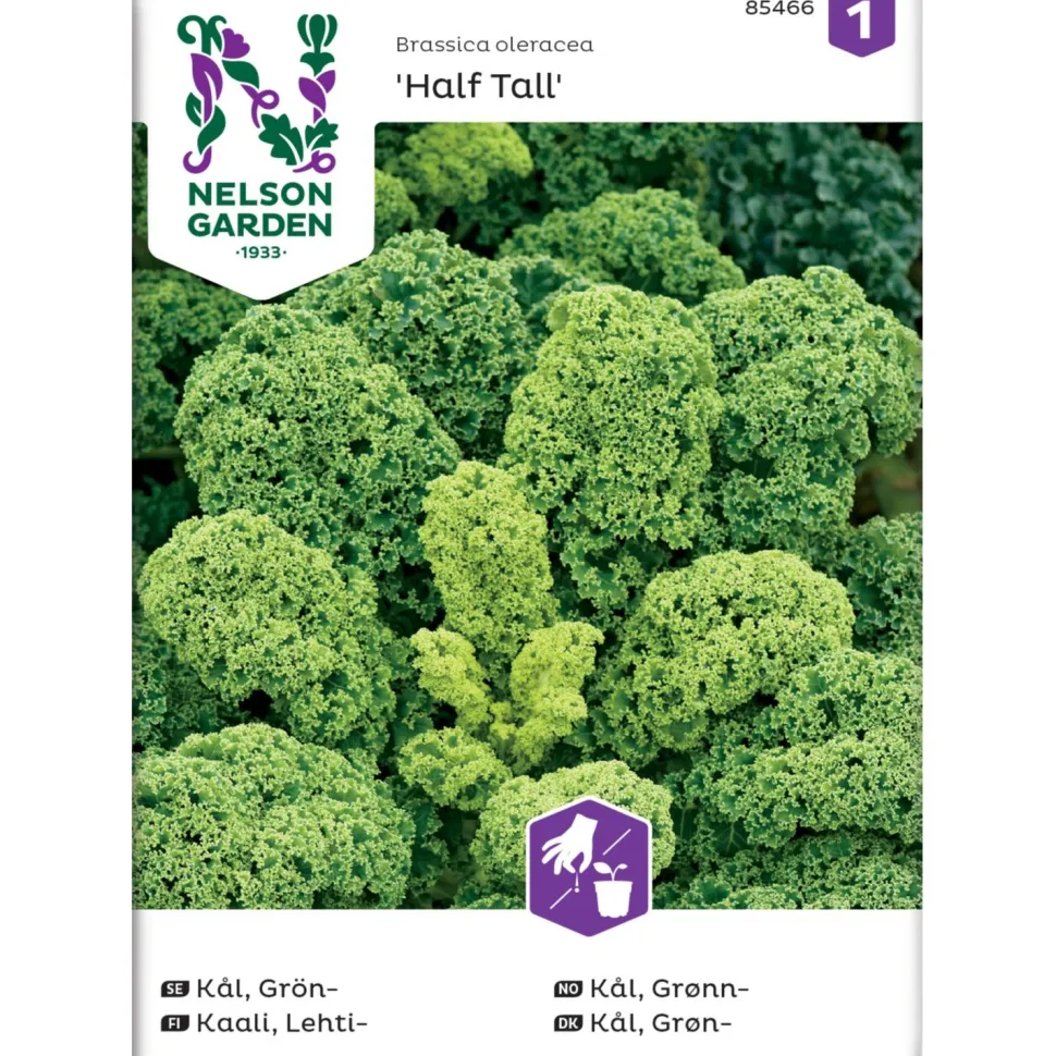 Lehtikaali Nelson Garden Half Tall, siemenet