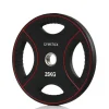 Levypaino Gymstick Pro PU 25 kg