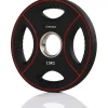 Levypaino Gymstick Pro PU 2,5 kg