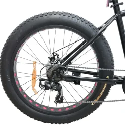 Maastopyörä Swoop Fatbike Tourer, 26x4