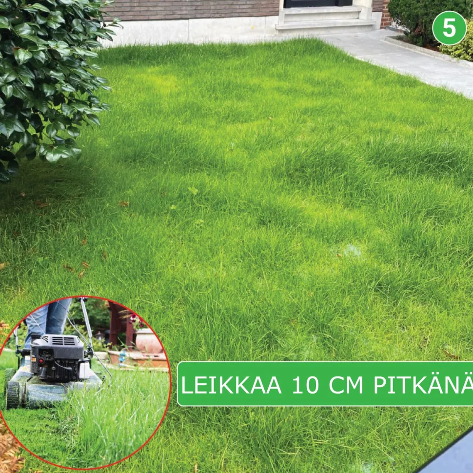 Nurmikon siemenmatto Turfquick Villa Classic, 10 m²