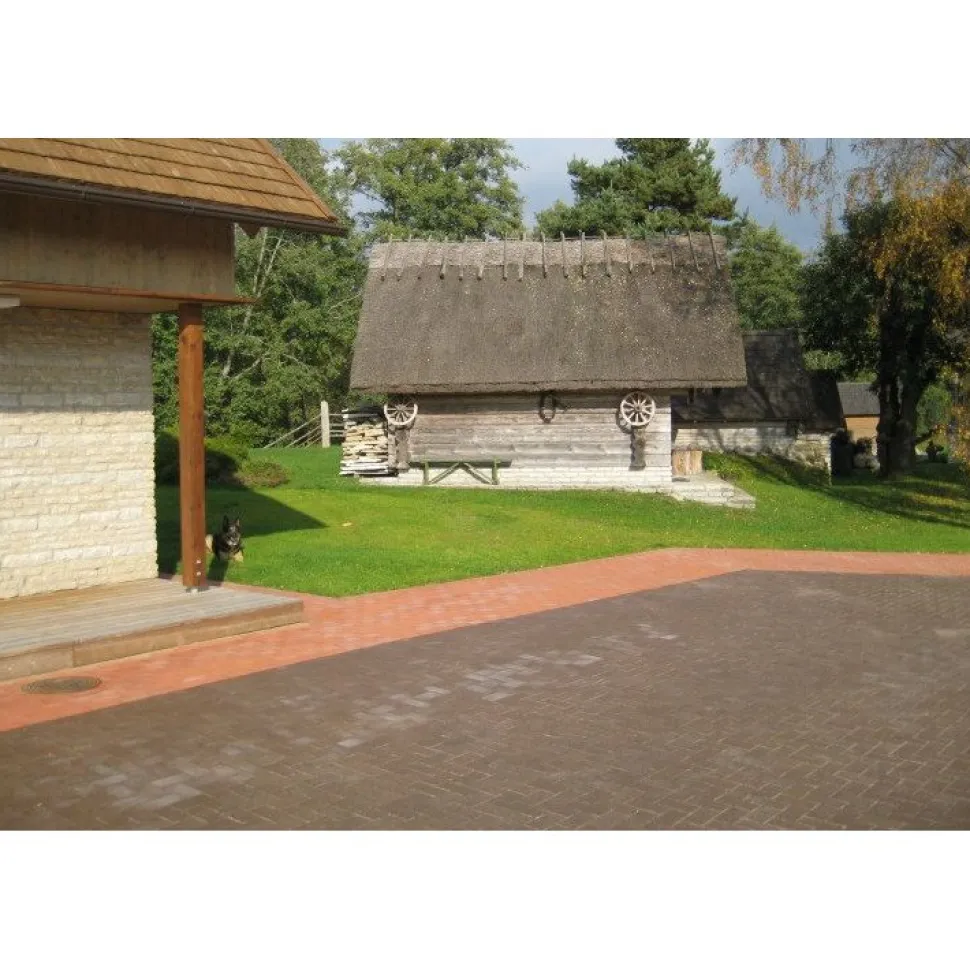Pihatiili Penter 200x100x52 mm Ruskea