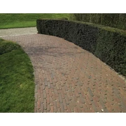 Pihatiili Wienerberger Penter DF 200x64x80mm Padova