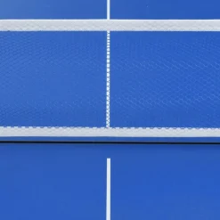 Pingispöytä verkolla, 152x76x66cm, sininen