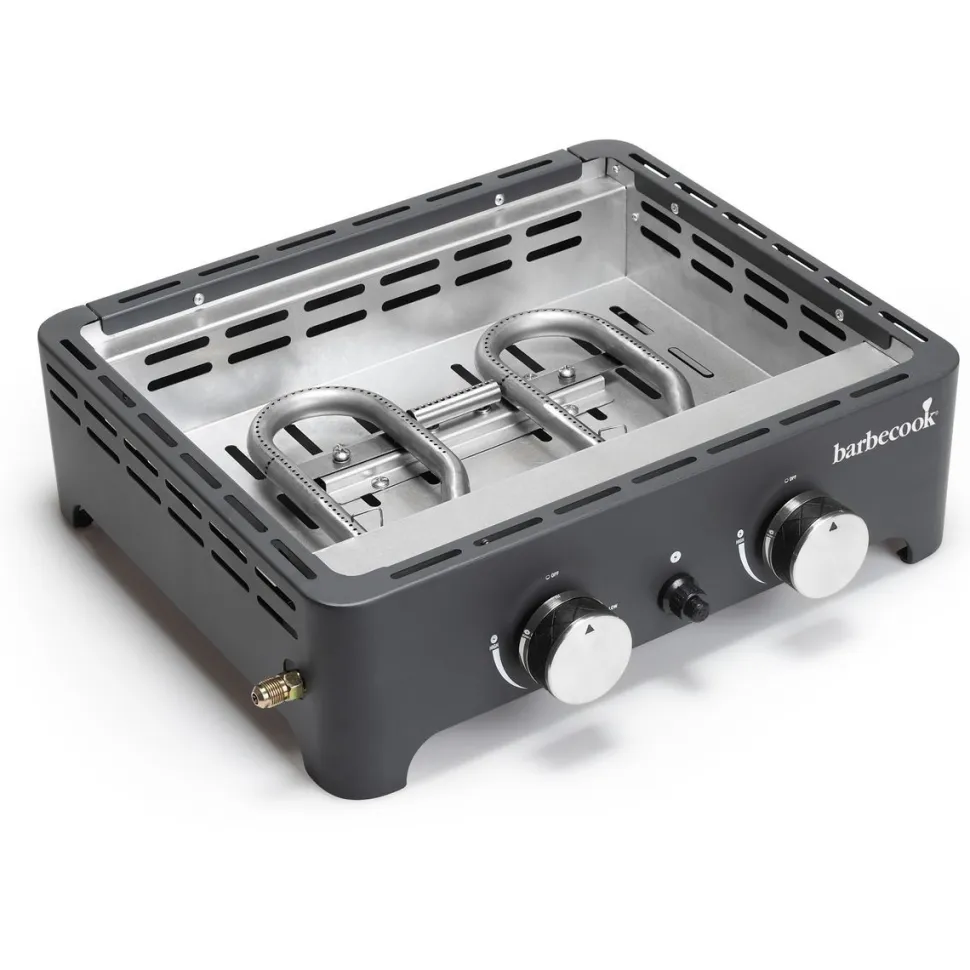 Plancha grilli Barbecook Victor 2 poltinta