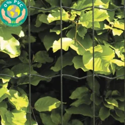 Puutarha-aita Hortus 5x10cm 2,1mm 10m 0% PVC musta
