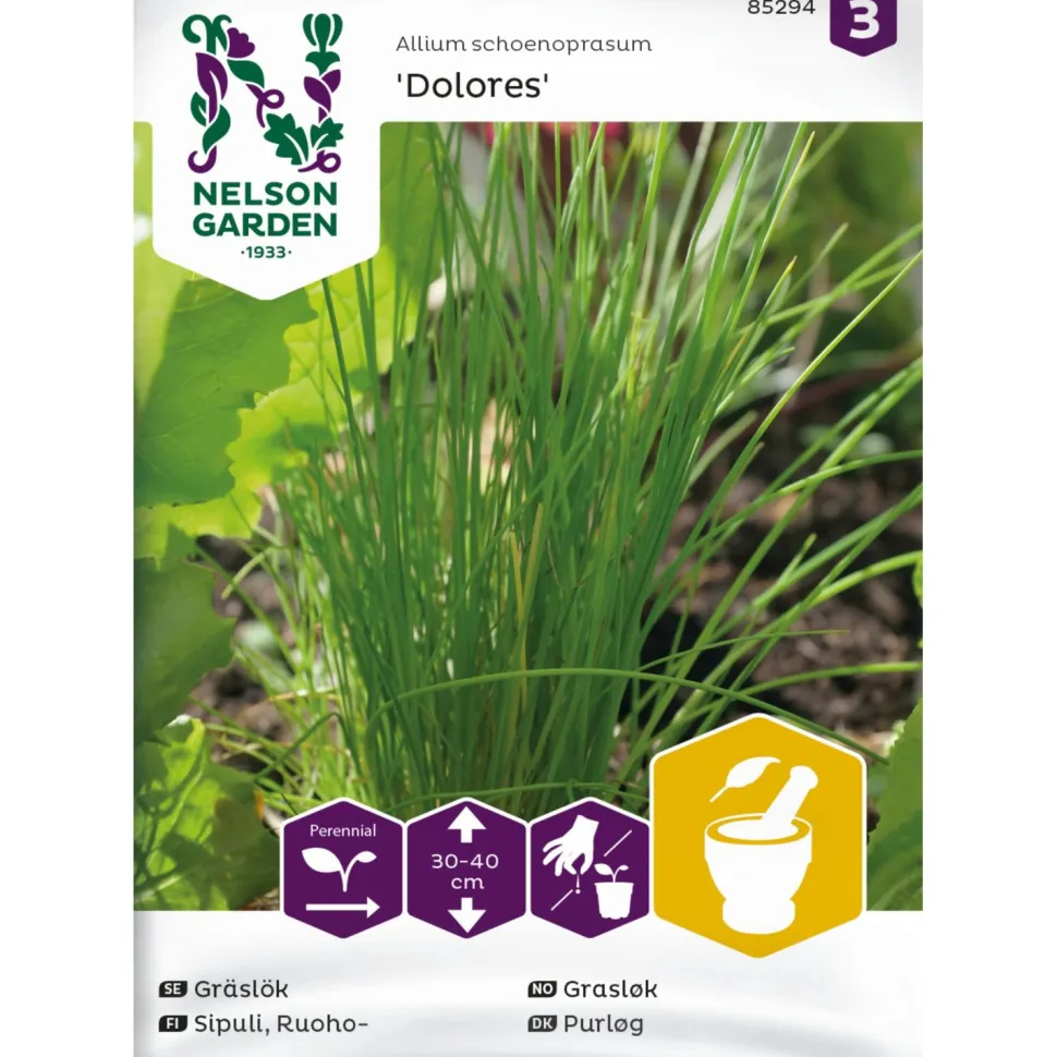 Ruohosipuli Nelson Garden Dolores, siemenet