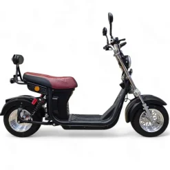 Sähköskootteri E-go Evo2, 1000W, eri värejä
