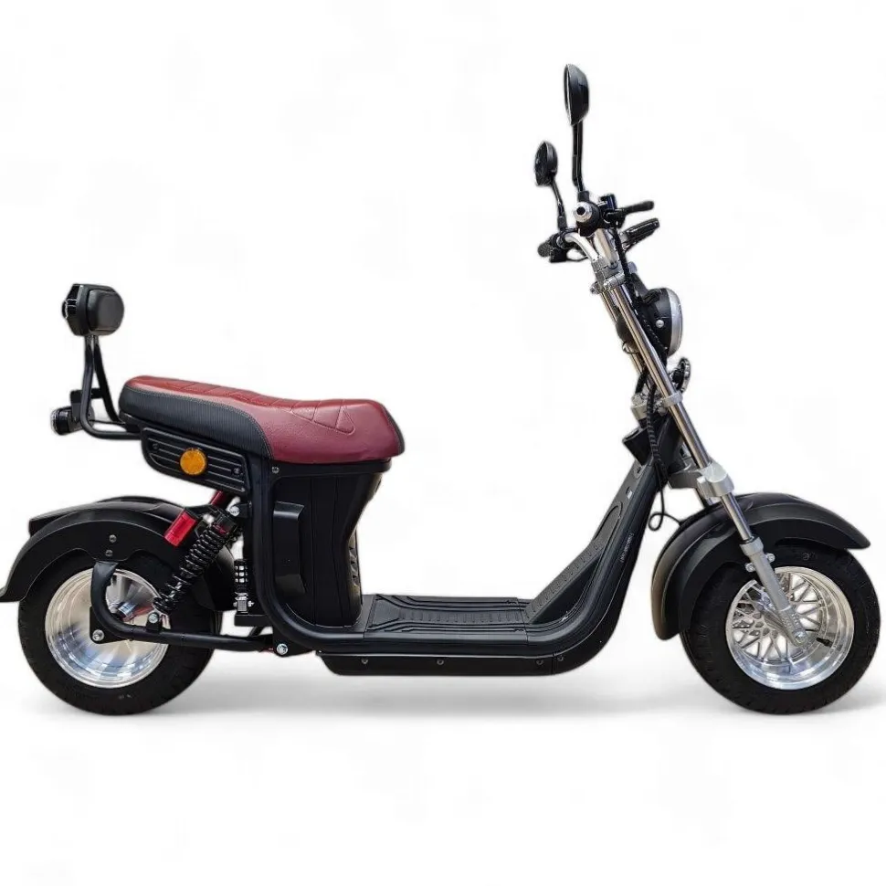 Sähköskootteri E-go Evo2, 1000W, eri värejä