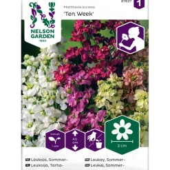 Tarhaleukoija Nelson Garden Ten Week, siemenet