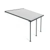 Terassikatos Palram-Canopia Feria 3 x 4,25 m harmaa/kirkas