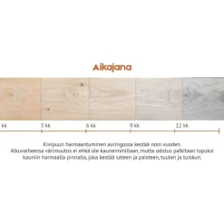 Terassilauta Kivipuu SHP 28x120mm mänty