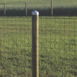 Tolpanhattu Hortus Ø140mm galvanoitu