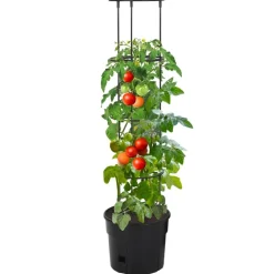Tomaattiruukku antrasiitti Ø29,5x115 cm polypropeeni (52209)