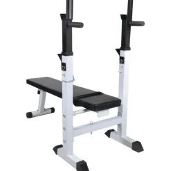 Treenipenkki levytanko- ja käsipainosarjalla, 60.5kg, 111x50x120cm